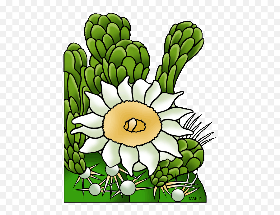 State Flower - Clipart Arizona State Flower Emoji,Cactus Flower Clipart