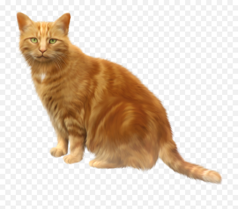 Cat Png 11 - Clipart Cat Transparent Emoji,Cat Png