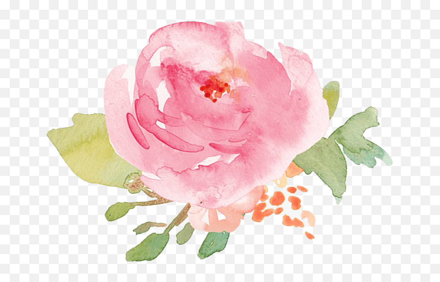 Watercolor Flower Png Transparent Images Png All - Garden Roses Emoji,Watercolor Flowers Png