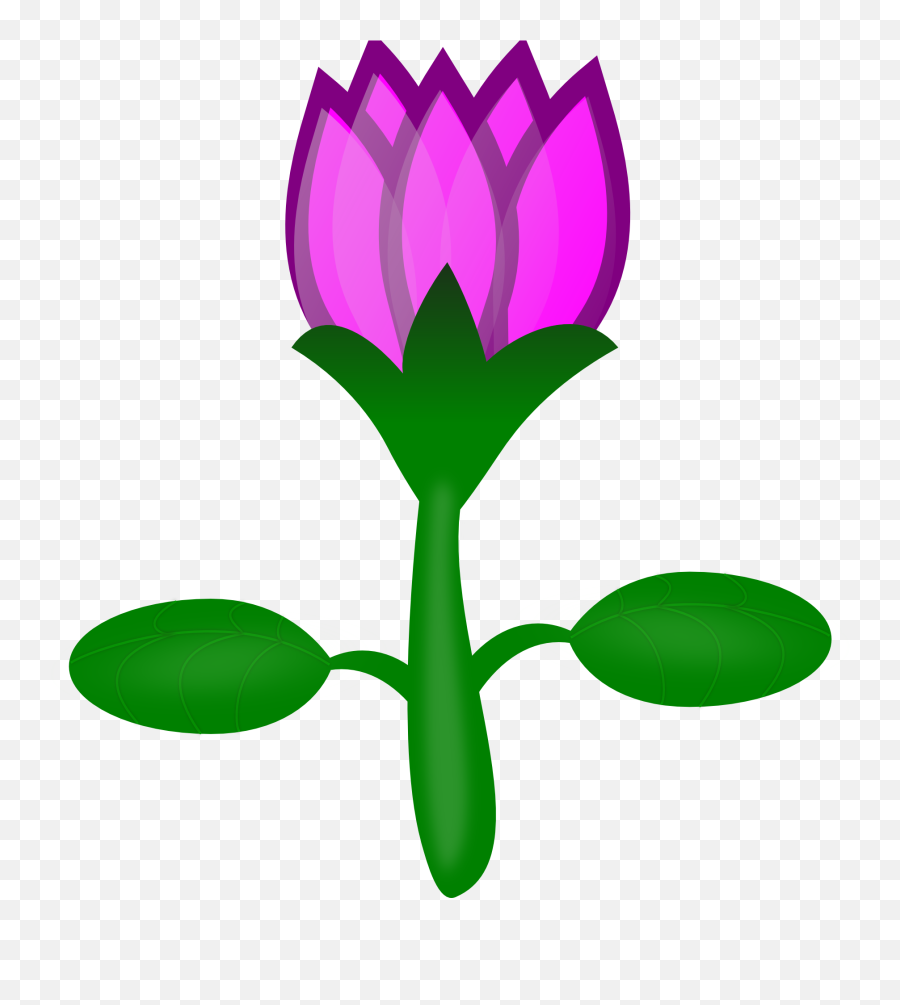 Beautiful Colorful Lotus Flower With - Flowers Cartoon Without Background Emoji,Lotus Flower Clipart