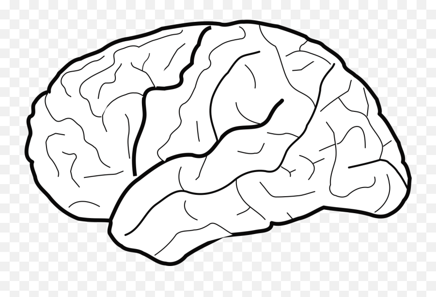White Brain Clip Art At Clker - White Brain Clipart Png Emoji,Brain Clipart Png