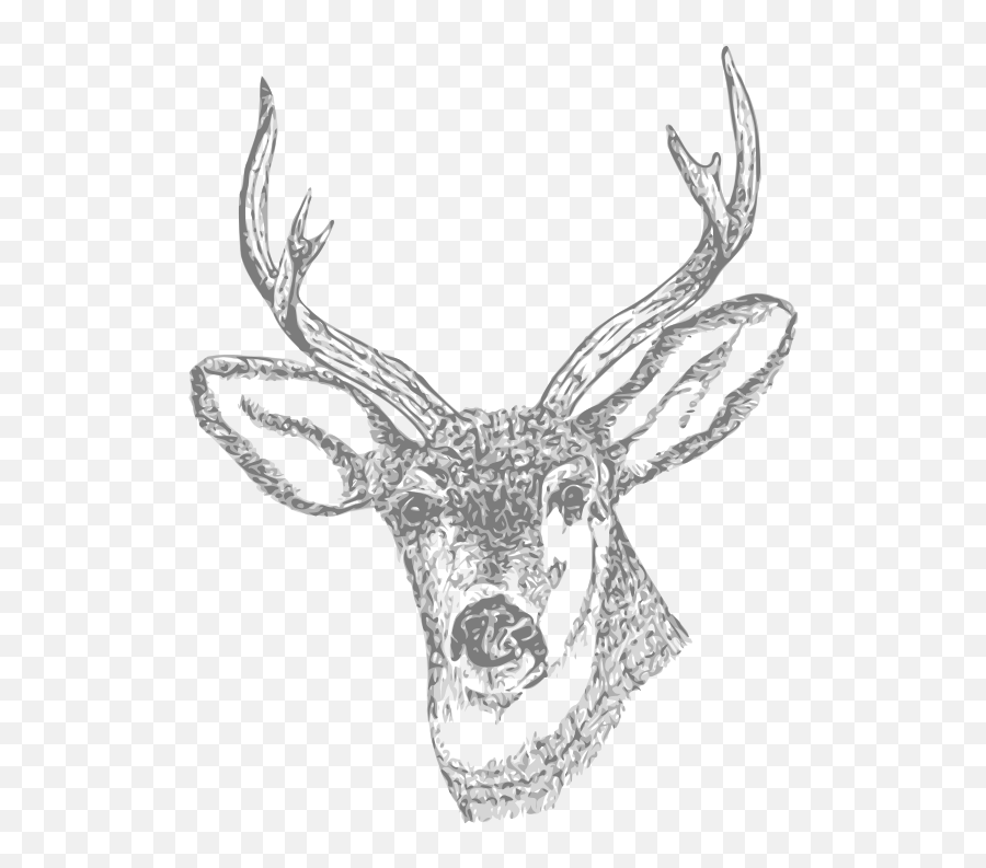 Download Antler Clipart Transparent Tumblr - Deer Head Deer Drawing Public Domain Emoji,Antlers Clipart