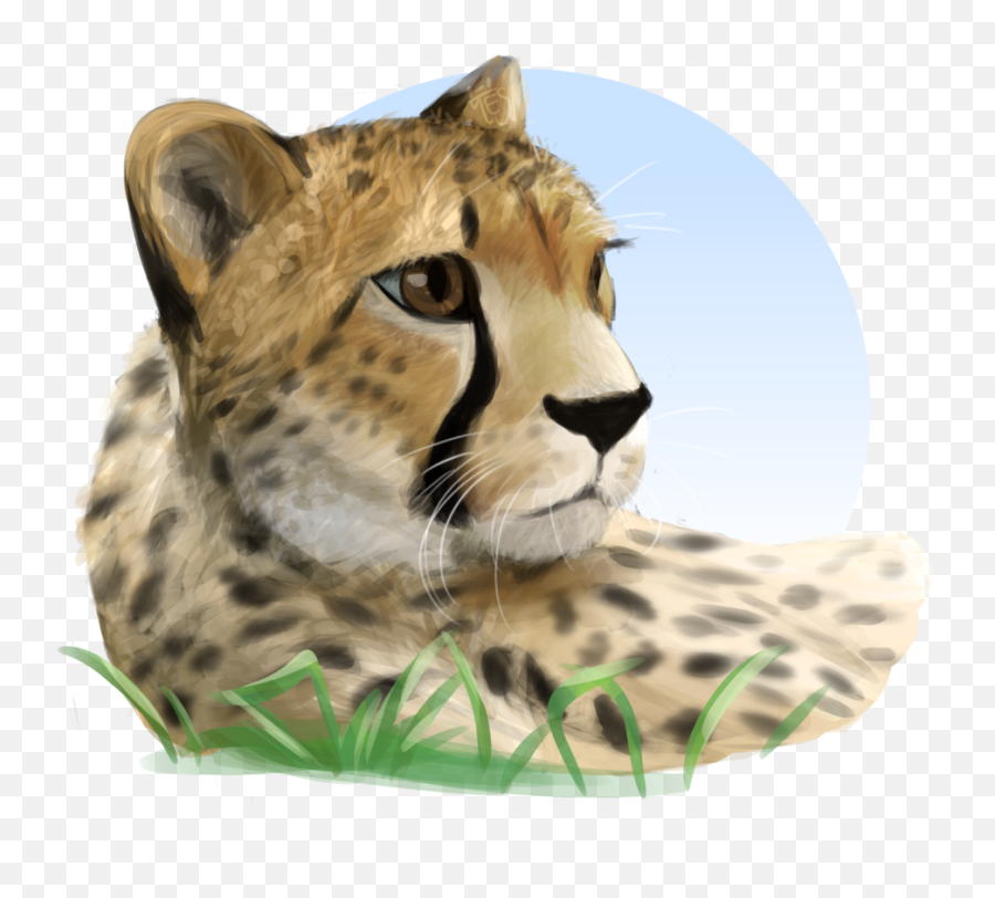 Download Owo - Cheetah Emoji,Owo Png