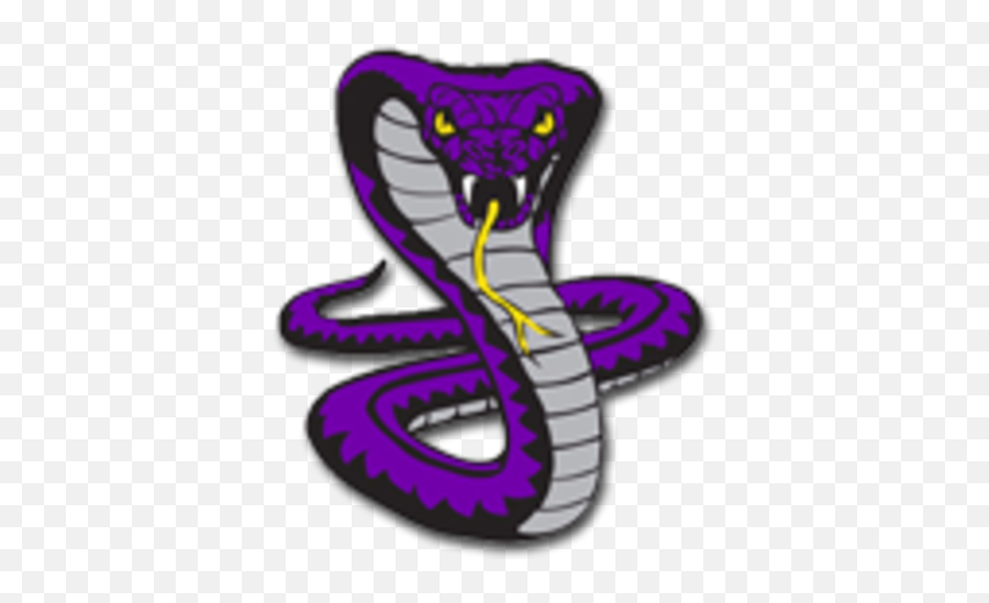 Fountain Lake High School Cobra Png - Purple King Cobra Png Emoji,Cobra Png