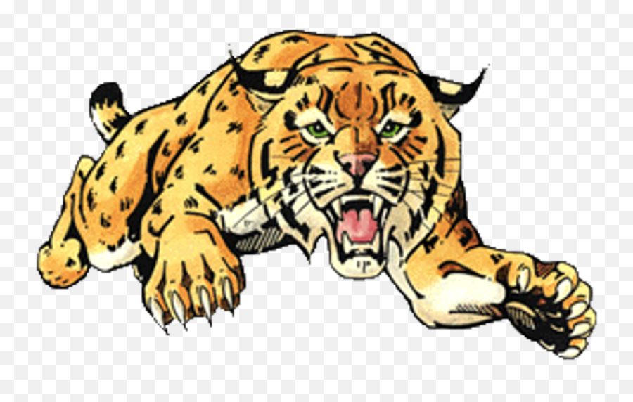 Bengal Clipart Wildcat - Chisago Lakes Wildcats Logo Chisago Lakes Wildcat Soccer Emoji,Wildcat Logo