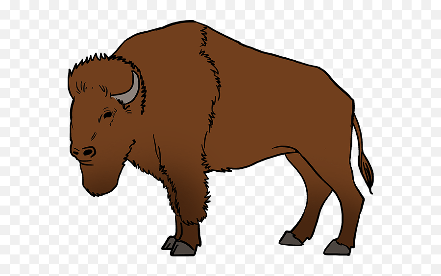 How To Draw Buffalo - Draw A Easy Buffalo Emoji,Buffalo Clipart