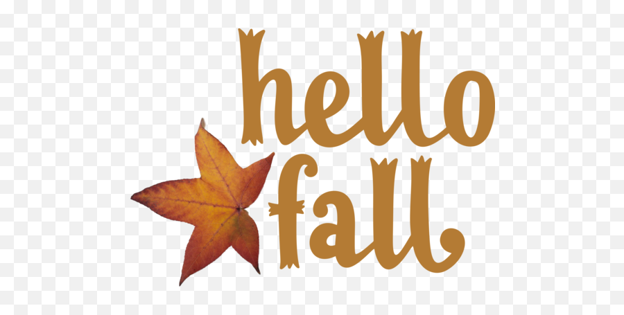 Thanksgiving Leaf Logo Font For Hello Autumn For Emoji,Leaves Logo