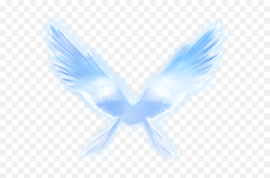 Wing - Angel Wings Png Download 650650 Free Transparent Emoji,Blue Angels Clipart