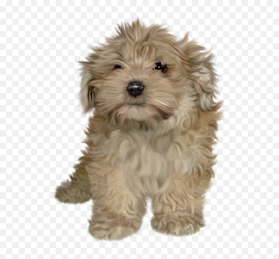 Two Puppies Png V63 Image G - 1081765357 Png Puppy Download Emoji,Puppy Png