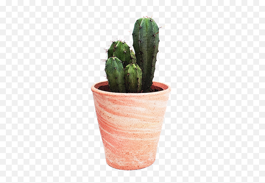 Free Photo Isolated Watercolor Cactus - Cactus Plant Emoji,Cactus Flower Clipart