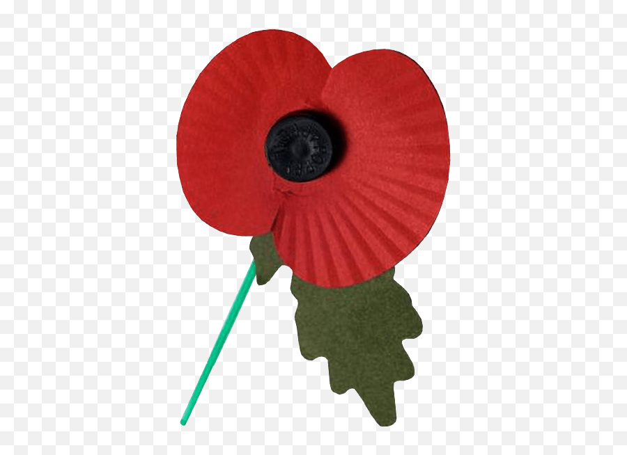 Remembrance Day Poppy Flower Png Image Png Arts Emoji,Poppy Flower Png