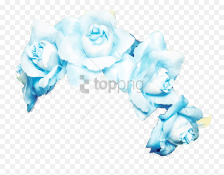 Pink Flower Crown Png - Transparent Background Blue Flower Crown Transparent Emoji,Flower Crown Png
