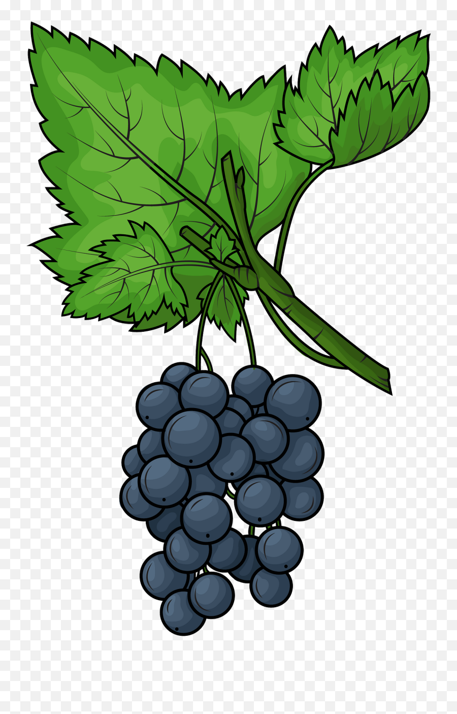 Black Grape Clipart - Grape Emoji,Grape Clipart