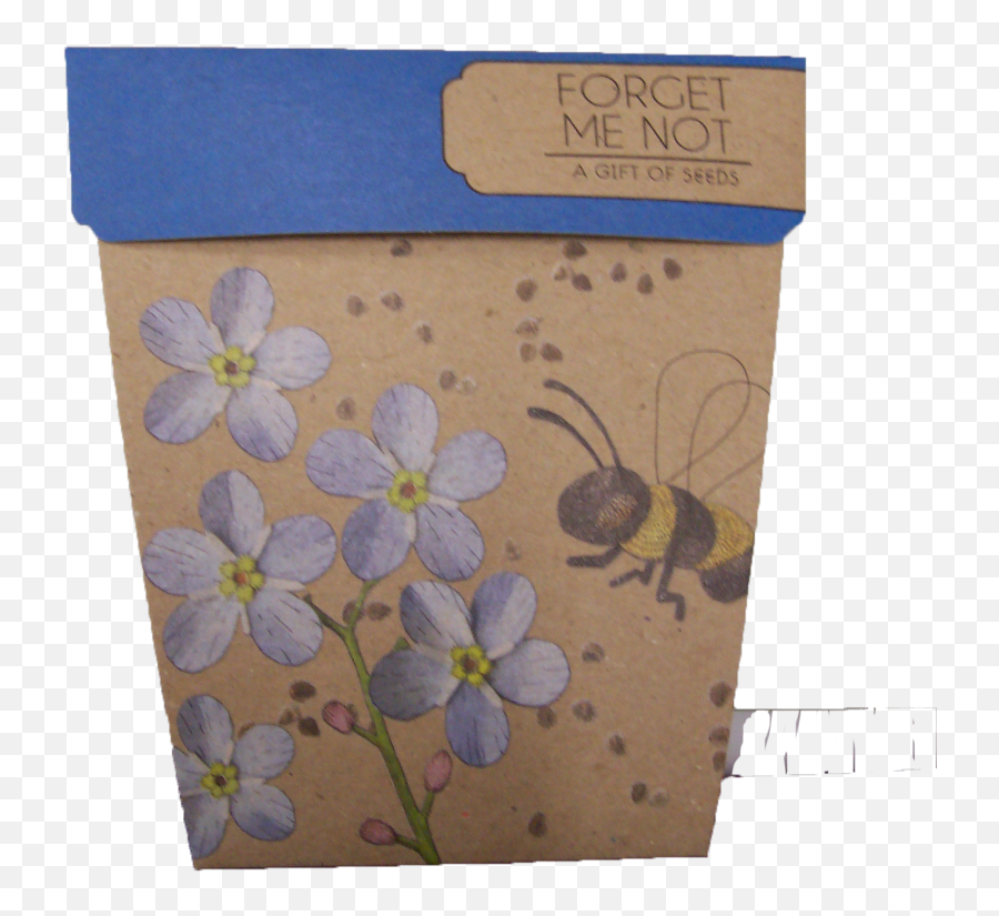 Forget Me Not Gifts Png U0026 Free Forget Me Not Giftspng Emoji,Forget Me Not Flowers Clipart