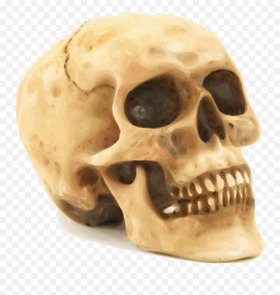 Skull Png File - Human Skull Emoji,Skull Png