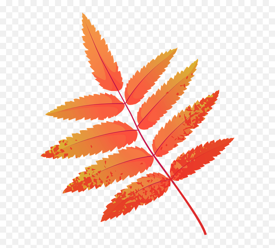 Rowan Tree Red Leaf Clipart Free Download Transparent Png Emoji,Free Leaf Clipart