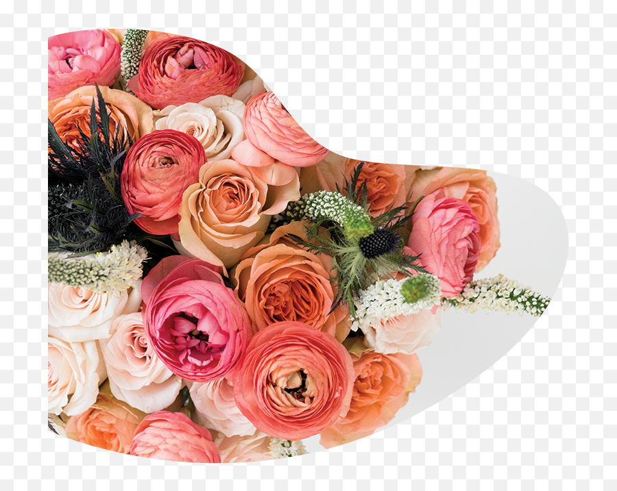 Your Florist For Life Your Poppy Flowers Emoji,Poppy Flower Png