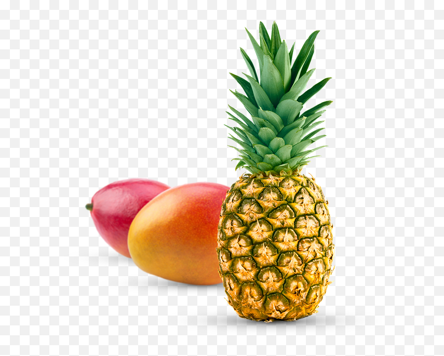 Tropical Fruit Png - Tropical Fruits 2413585 Vippng Tropical Fruit Transparent Emoji,Fruit Png