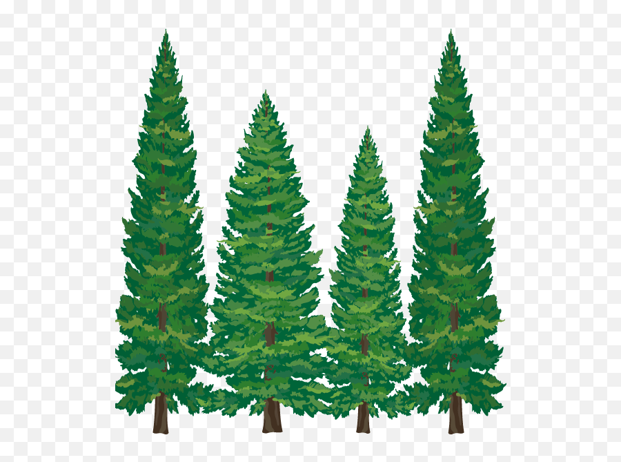 Cartoon Pine Tree Png Transparent Png - Clipart Pine Tree Cartoon Emoji,Pine Tree Clipart