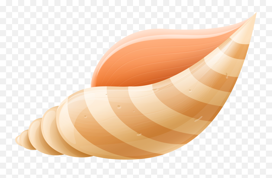 Seashells Png - Conch Emoji,Seashell Clipart