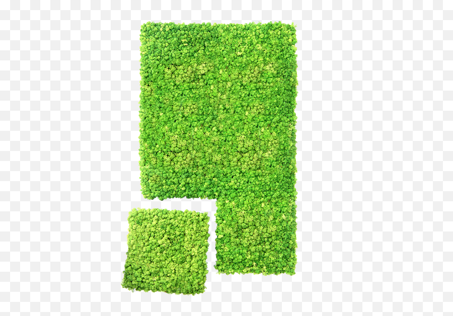 Green Wall Emoji,Green Wall Png