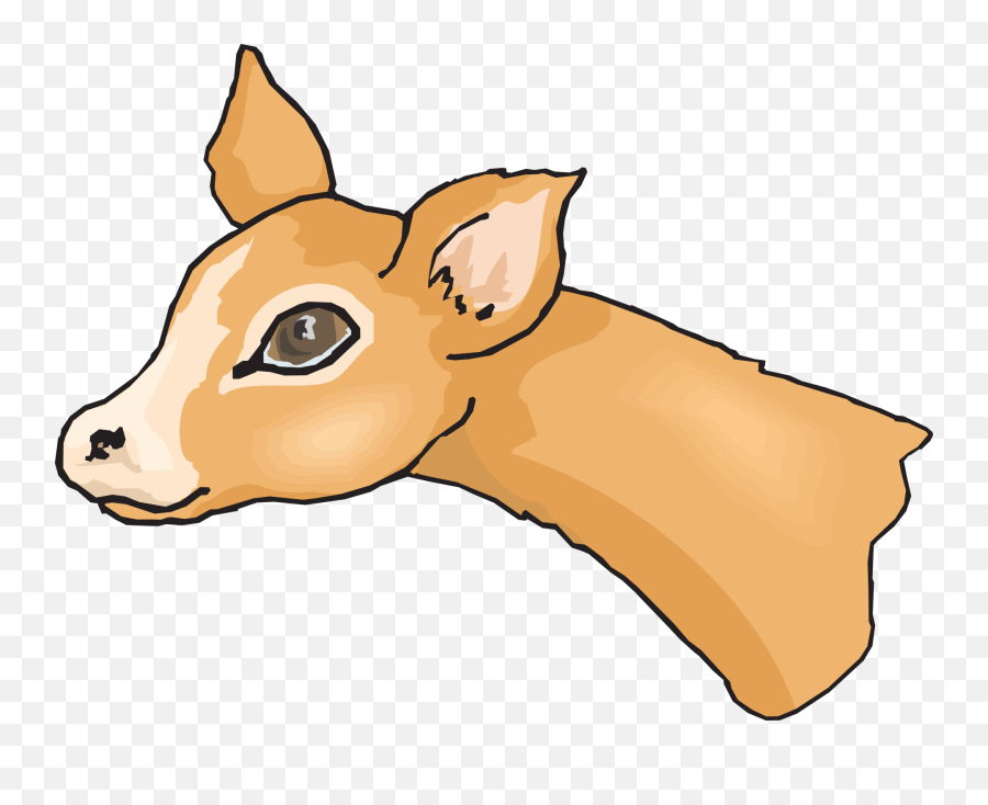 Deer Head Wildlife - Deer Eye Vector Emoji,Deer Head Clipart