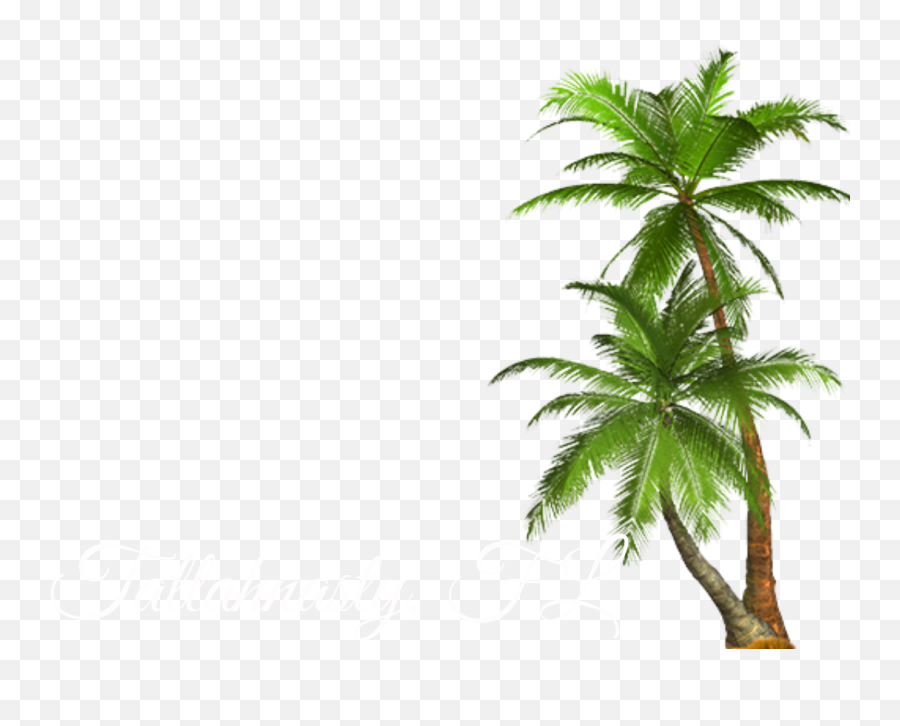 Filterjff - Palm Tree Clip Art Emoji,Palm Tree Png