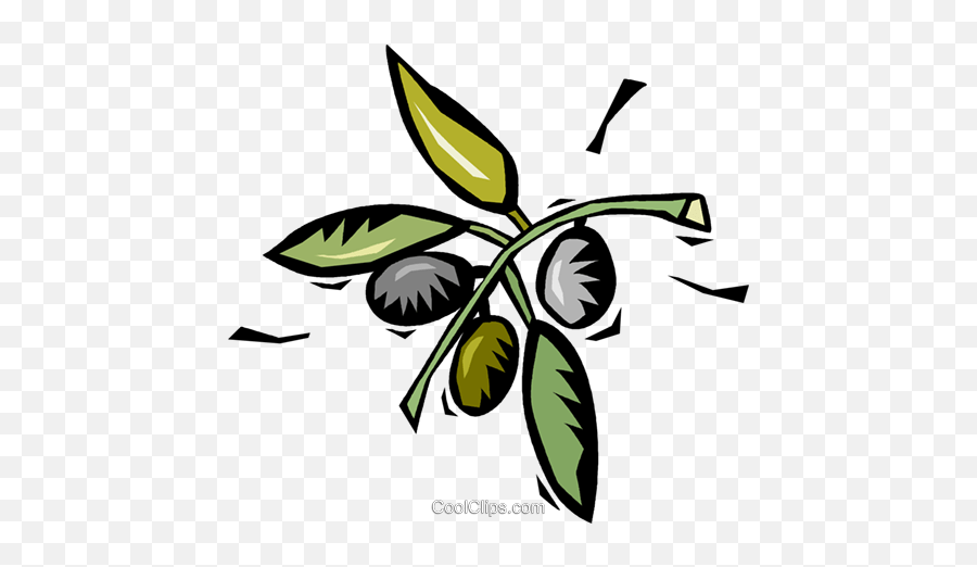 Coffee Beans Growing On The Plant Royalty Free Vector Clip - Fresh Emoji,Coffee Beans Clipart