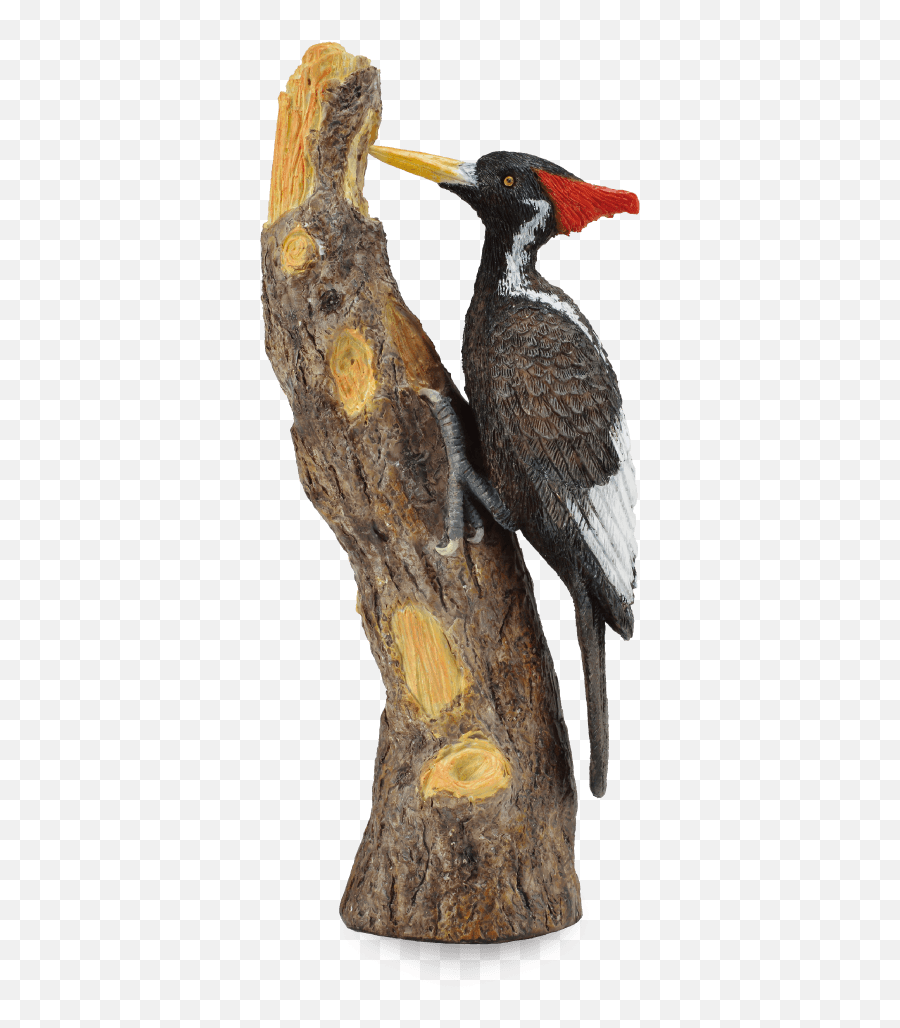 Woodpecker Png Emoji,Woodpecker Png