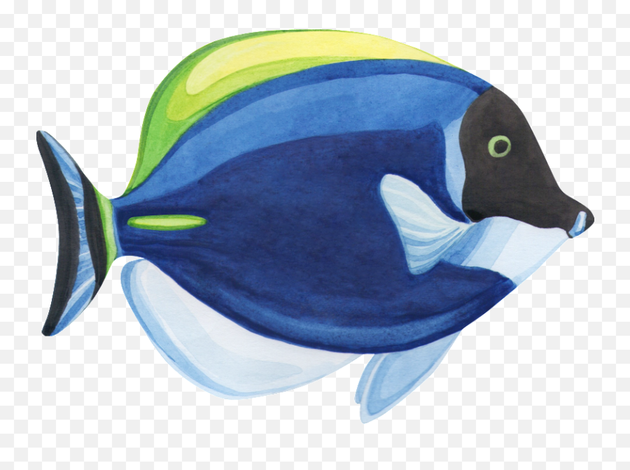 Download Hand Painted A Fish Watercolor Fish Png Transparent Emoji,Fish Emoji Png
