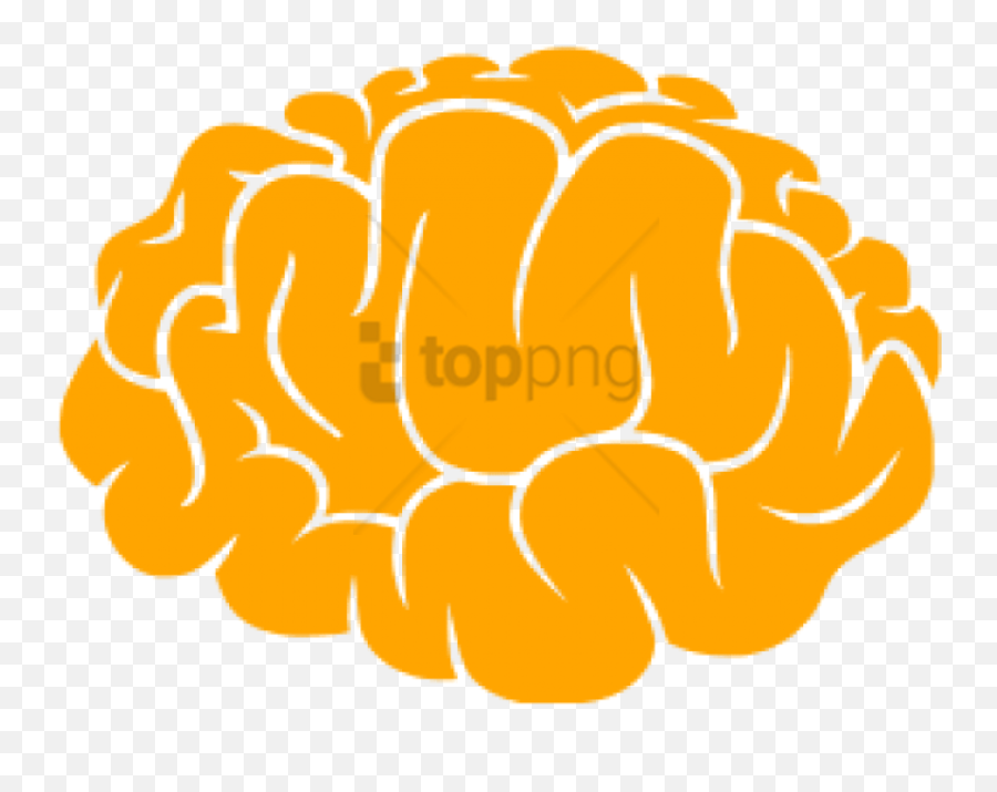 Brain Clipart Icon - Transparent Brain Icon Png Full Size Brain Icon Free Png Emoji,Brain Clipart Png