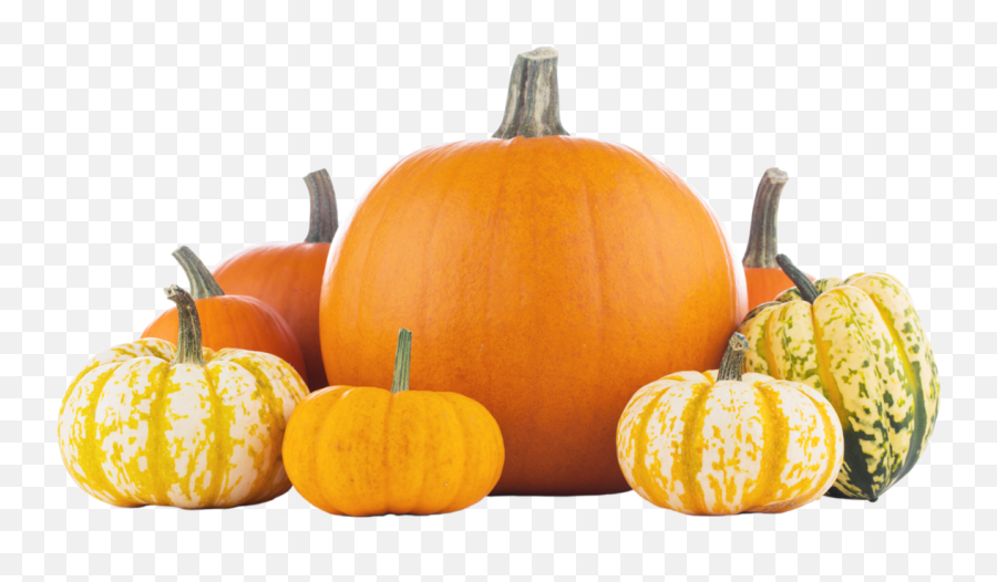 Pumpkin Png Images Transparent - Pumpkin Image No Background Emoji,Pumpkin Transparent Background