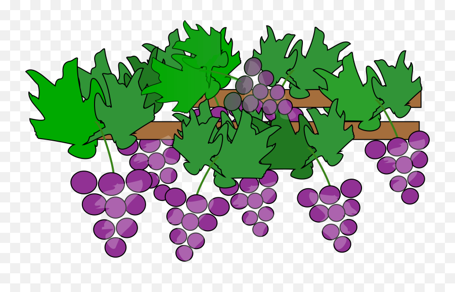 Grapes Free To Use Clipart - Grapes Plant Clipart Emoji,Grapes Clipart