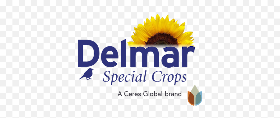Sourcing U0026 Supplying Bird Seed Delmar Special Crops - Language Emoji,Sunflower Logo