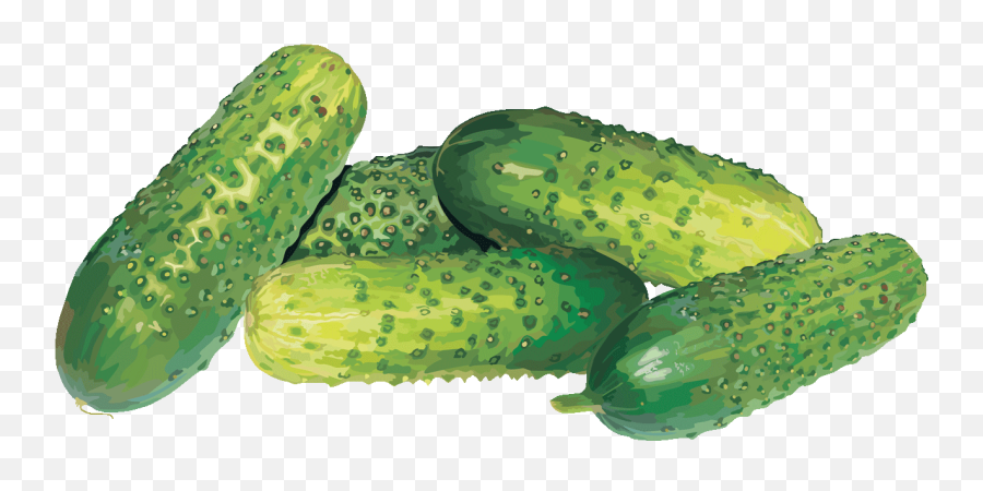 Cucumber Sprite Png Transparent Png - Portable Network Graphics Emoji,Cucumber Clipart