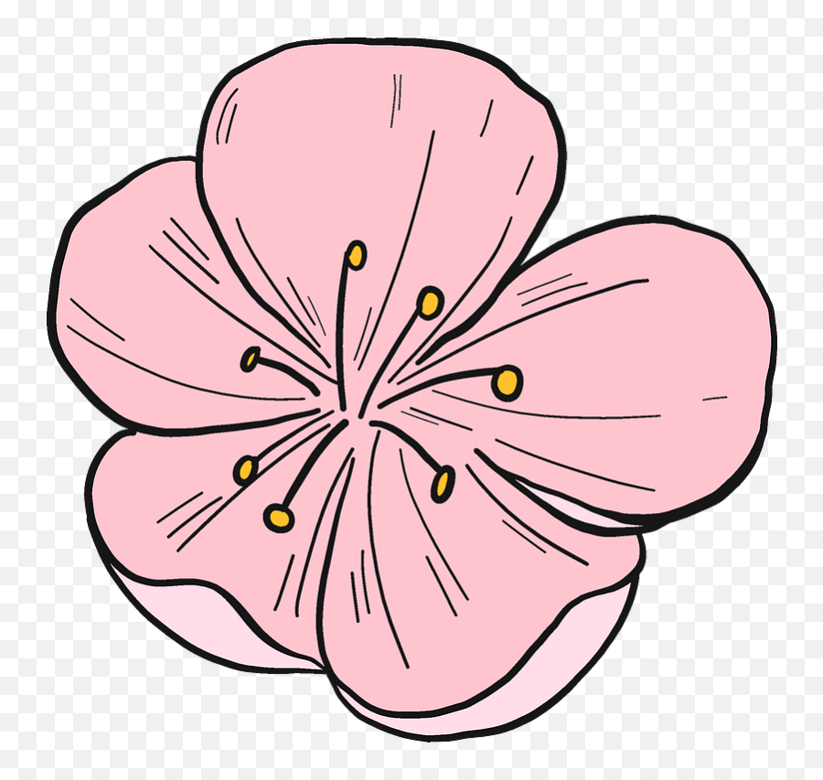 Peach Flower Clipart - Png Download Full Size Clipart Peach Flower Coloring Pages Emoji,Flower Clipart Png