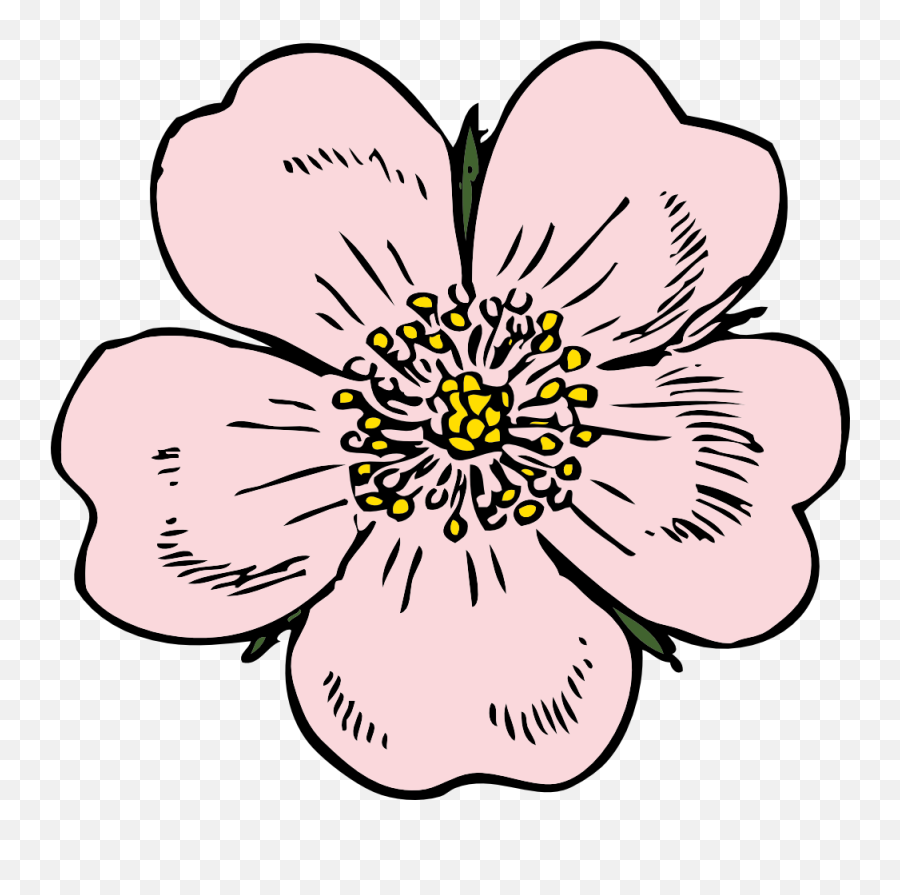 Pioneer Woman Flower Clipart - Wild Rose Clipart Emoji,Pioneer Clipart