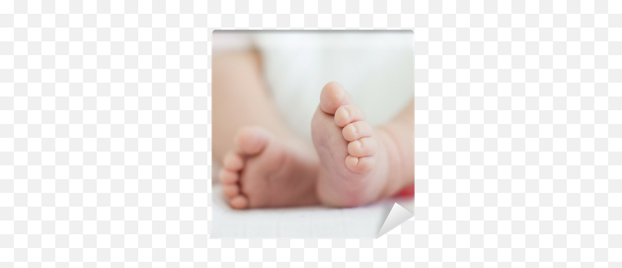 Newborn Baby Feet Wall Mural U2022 Pixers - We Live To Change Baby Feet Emoji,Baby Feet Png