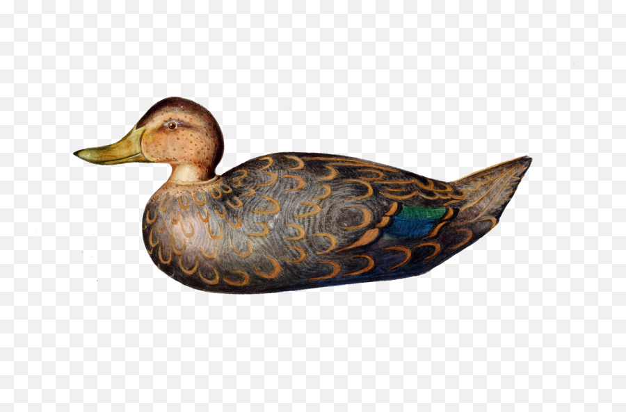 Duck Figure Vintage Clipart Free Stock Photo - Public Domain Emoji,Duck Transparent Background