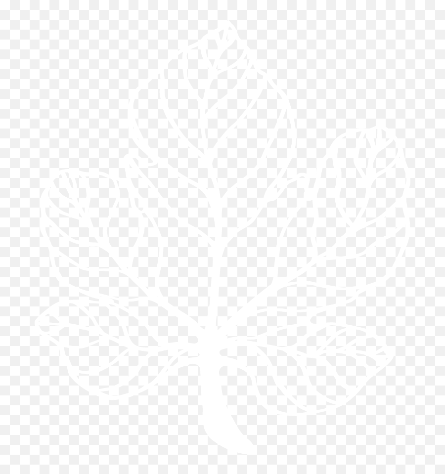 Leaf Logo White - Foglia Di Fico Emoji,Leaves Logo