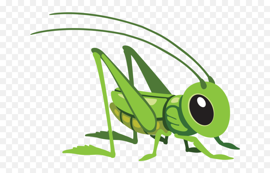 Grasshopper Clipart Easy Grasshopper - Grasshopper Clipart Emoji,Grasshopper Clipart
