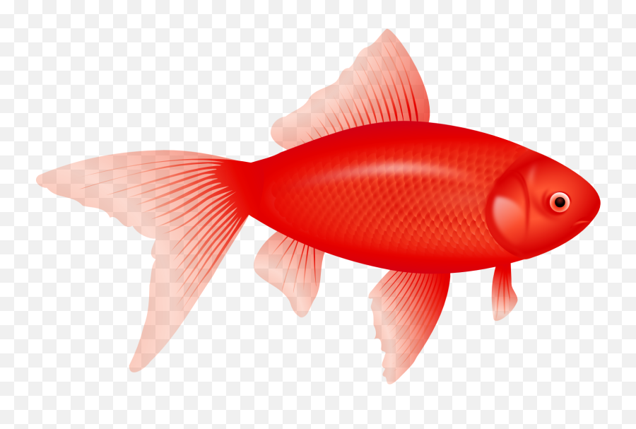 Fish Png Image - Red Fish Png Emoji,Fish Png