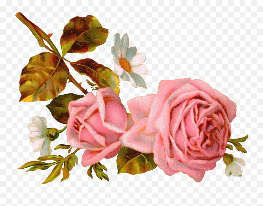 Png Vintage Flowers - Background With Watercolor Emoji,Vintage Roses Png