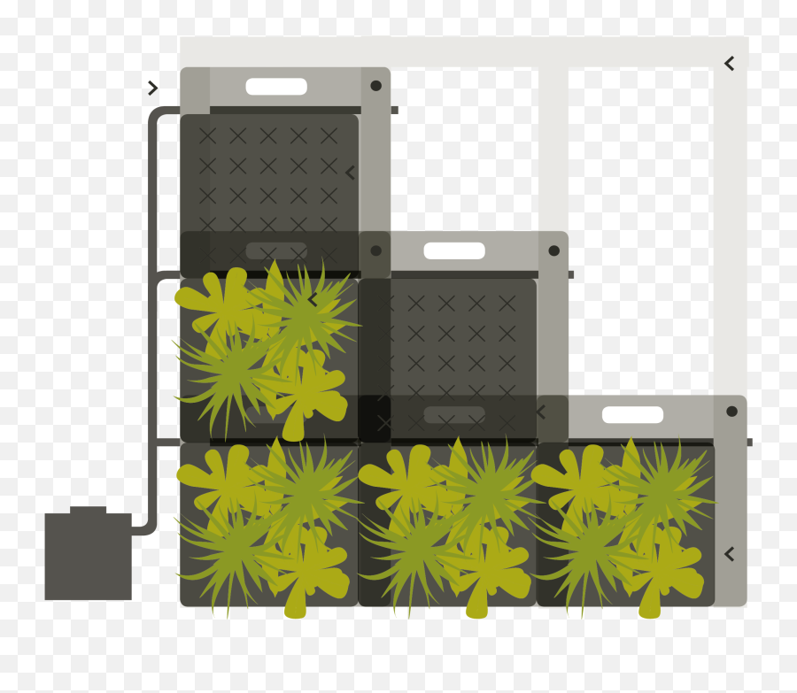 What Is The Structure Of A Living Wall Emoji,Green Wall Png