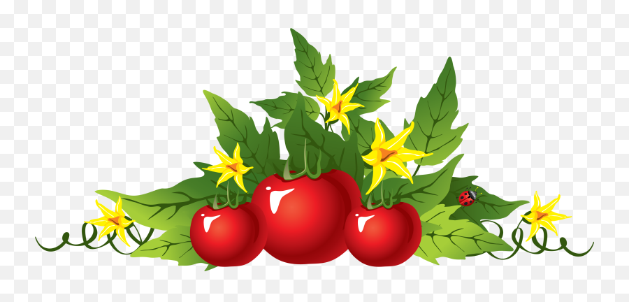 Tomato Png - Tomato Flower Clipart Png Emoji,Tomato Clipart