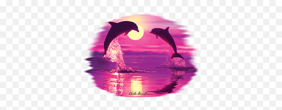 Lovers Silhouette Heat Transfers T - Shirt Transfers Ironon Transfers Emoji,Dolphin Silhouette Png