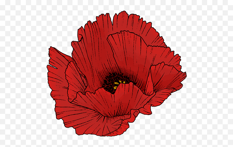 Dramatic Red Poppy Flower Floral Womenu0027s T - Shirt For Sale By Emoji,Poppy Flower Png