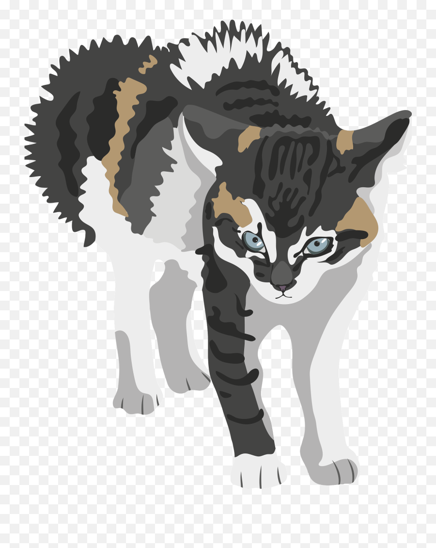 Tricolor Kitten Clipart Free Download Transparent Png - Cartoon Hissing Cat Png Emoji,Kitten Clipart
