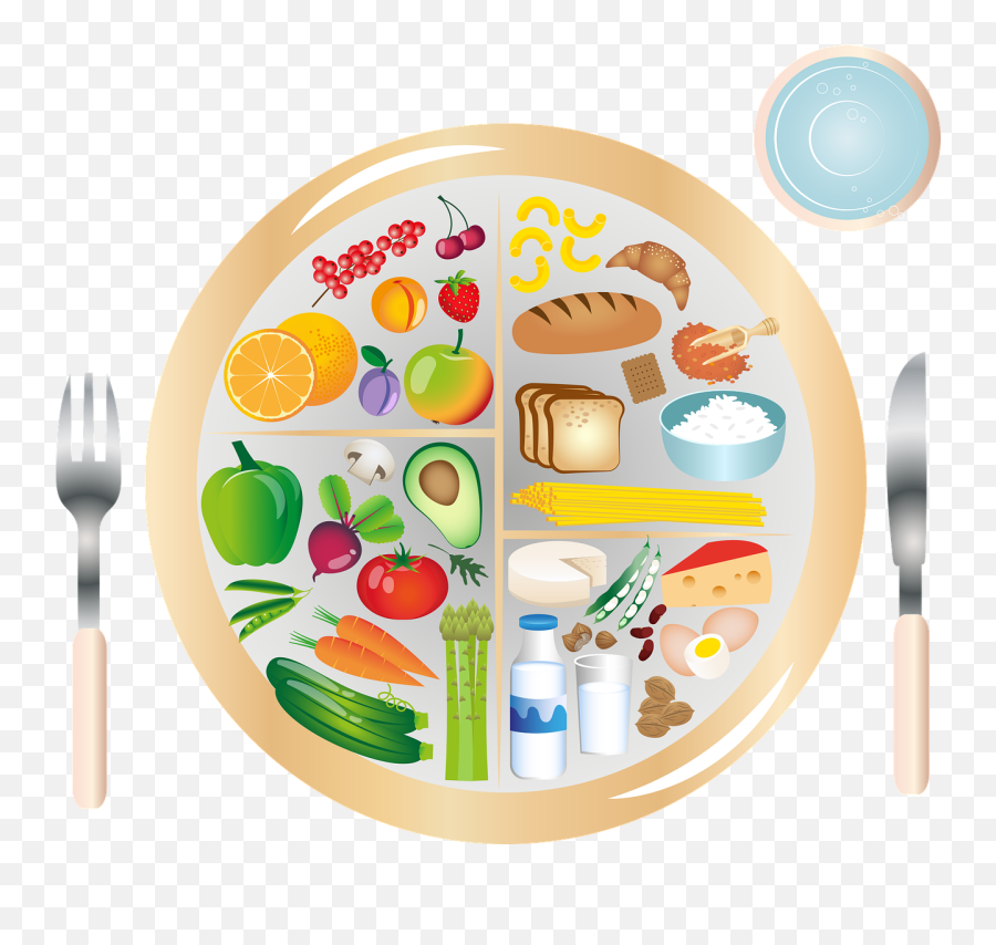 My Plate Nutrition Nutrients - Free Vector Graphic On Pixabay Emoji,Plate Of Food Png