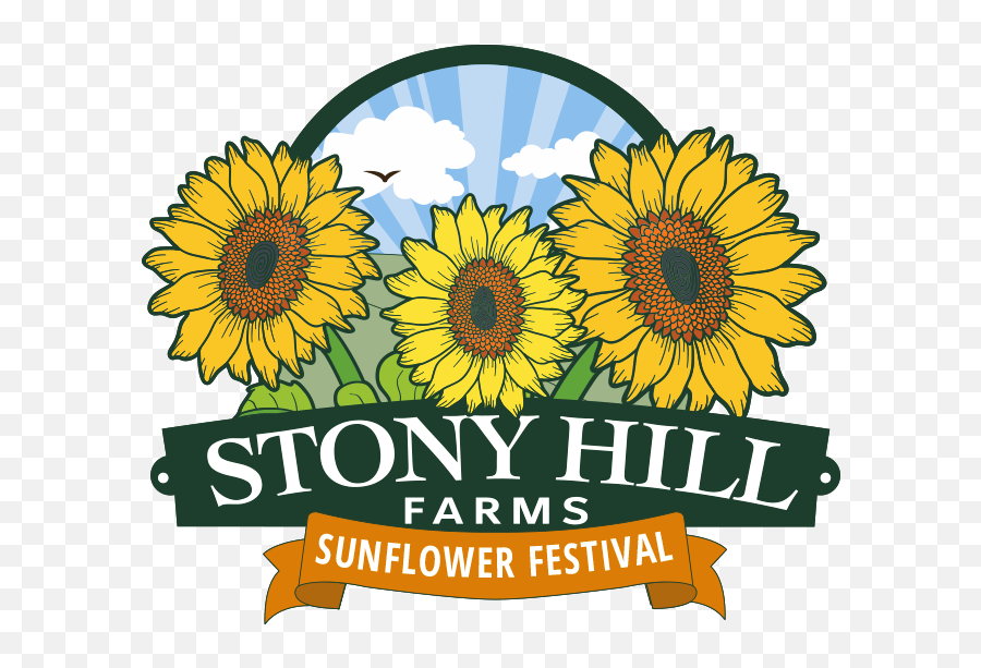 Sunflower Festival Njmom - Festival Emoji,Sunflower Logo